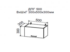 Шкаф верхний ДПГ500 горизонтальный в Нижней Салде - nizhnyaya-salda.магазин96.com | фото