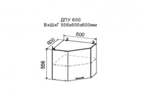 Шкаф верхний ДПУ600 угловой в Нижней Салде - nizhnyaya-salda.магазин96.com | фото
